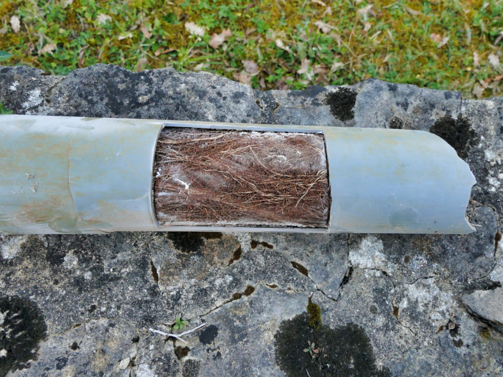drain repairs