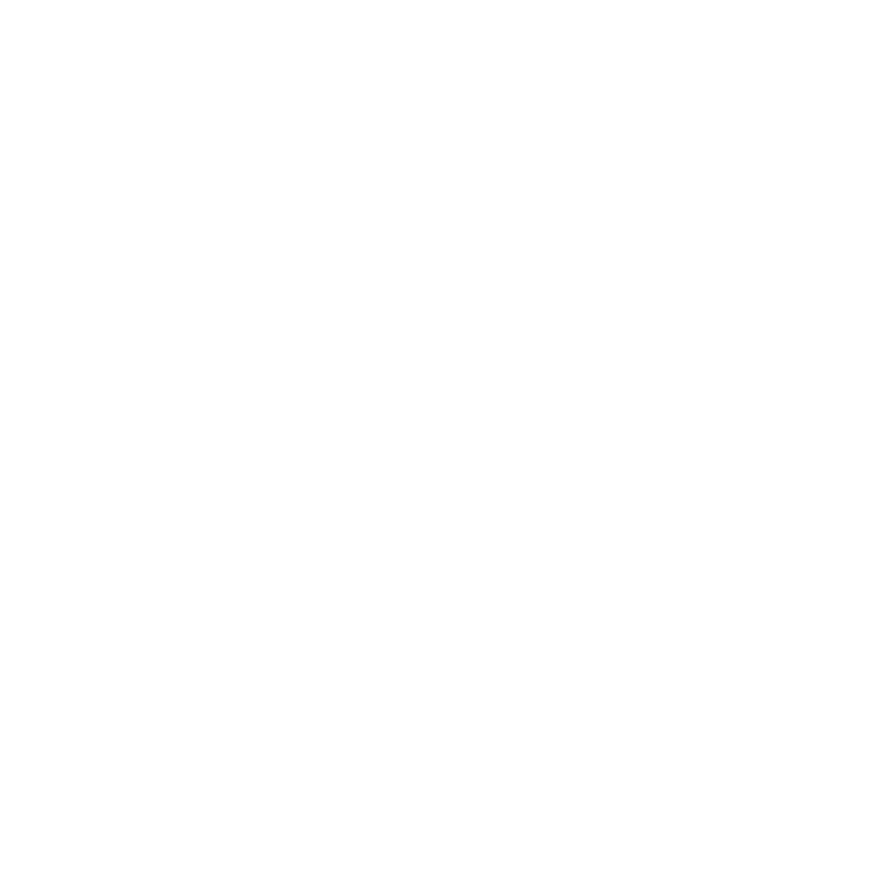 magnifying glass icon