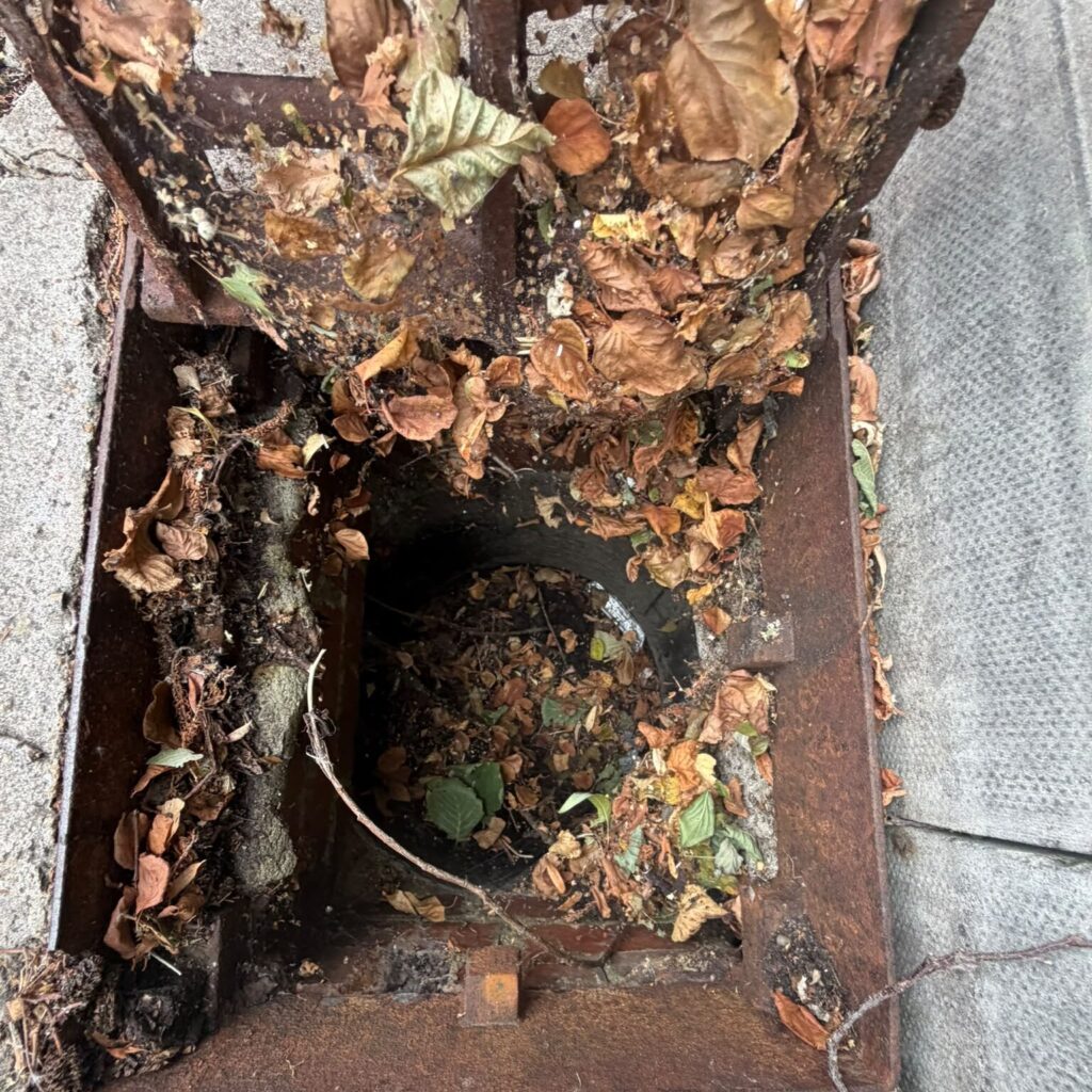 Outside drainage gully filled with fallen leaves and debris illustrating why drains keep blocking