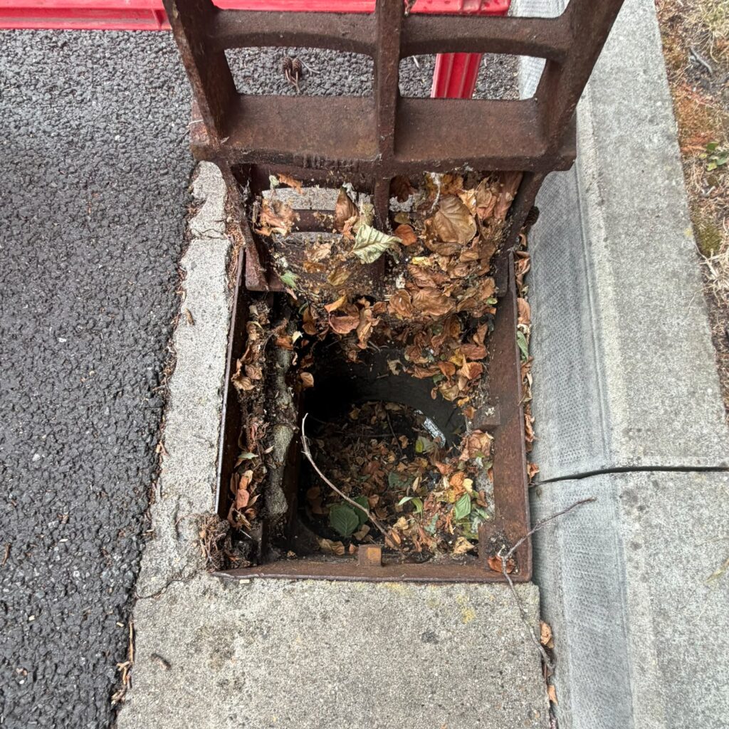 Leaves and debris inside an outside drainage gully.